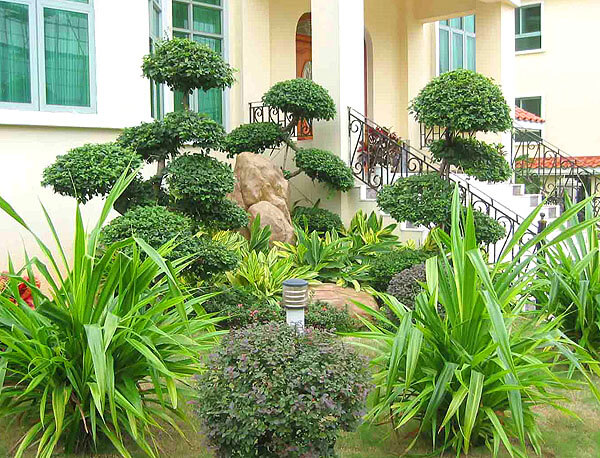 大业园林园林绿化养护